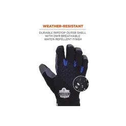 ProFlex 817 Reinforced Thermal Utility Gloves, Black, Large (17354)