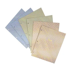 Pukka Pad Haze 3-Hole Punched 2-Pocket Cardstock Portfolio Folders, Assorted Colors, 6/Pack (9980(AST)-HZE)