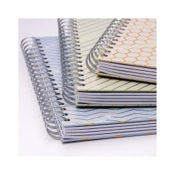 Pukka Pad Haze 5-Subject Notebooks, 7.4