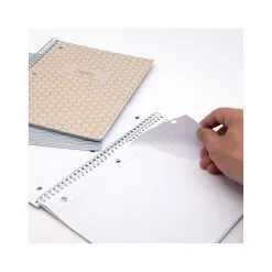 Pukka Pad Haze 1-Subject Notebooks, 8