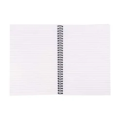 Pukka Pad Metallic Jotta Professional Notebooks, 6.9
