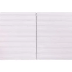 Pukka Pad Professional Notebooks, 8.5