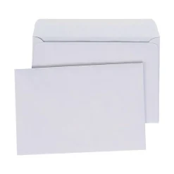 Quality Park Gummed Booklet Envelopes, 6