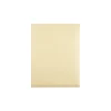 Quality Park Gummed Document Envelopes, 10" x 15", Cameo Buff, 100/Box (QUA54416)