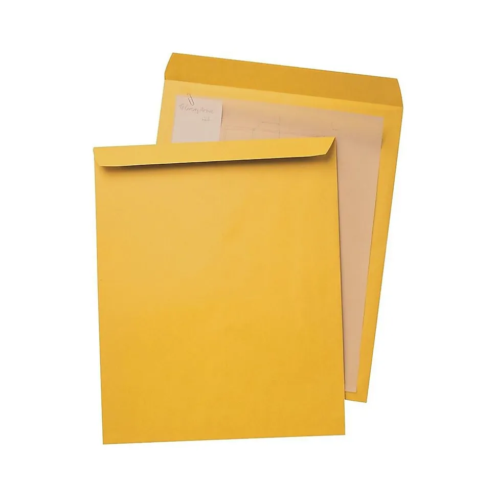 Quality Park Open End Kraft Catalog Envelopes, 12.5 x 18.5", Brown Kraft, 25/Box (QUA42353)