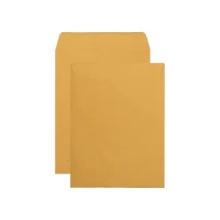 Quality Park Redi-Seal Kraft Catalog Envelopes, 9.5
