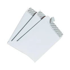 Quality Park Redi-Strip Catalog Envelopes, 6" x 9", White Wove, 100/Box (QUA44182)