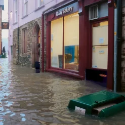 Quick Dam Universal Flood Gate, Flood Doorway Control, Expands 30