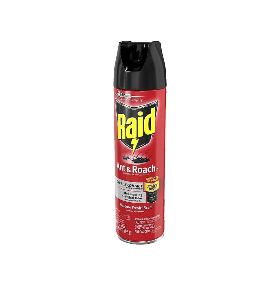 Raid Ant & Roach Killer 26 Aerosol for Ants & Roaches, Outdoor Fresh Scent, 17.5 oz. (669798)