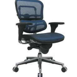 Raynor Eurotech Ergo human Mesh Mid Back Task Chair, Blue