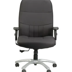 Raynor Eurotech Excelsior Fabric Big and Tall Manager's Chair, Black (BM90000-BLK)
