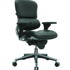 Raynor Eurotech Leather Mid Back Ergo human Chair, Black