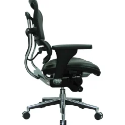 Raynor Eurotech Mesh/Leather Mid Back Ergo human Chair, Black