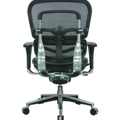 Raynor Eurotech Mesh/Leather Mid Back Ergo human Chair, Black