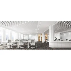 RAYNOR GROUP ION Fabric Task Chair, Gray/White (ION-WH-GRY)