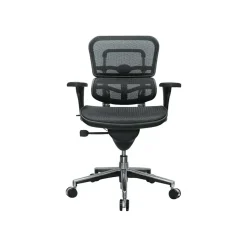Raynor Low Back Mesh Task Chair, Black (ME8ERGLO(N))
