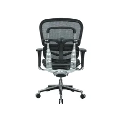 Raynor Low Back Mesh Task Chair, Black (ME8ERGLO(N))