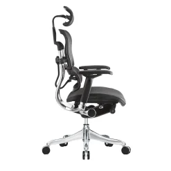 Raynor Marketing Ergo elite Mesh Task Chair, Black (ME22ERGLT-BLK)