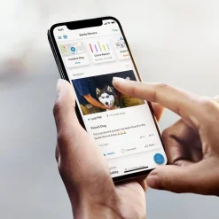 Ring Floodlight Cam Plus Outdoor Wireless Security Camera, Black (B08F6DWKQP)