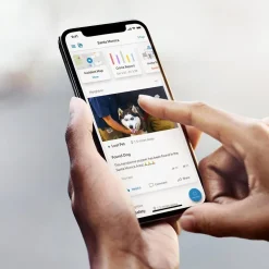 Ring Floodlight Cam Pro Outdoor Wireless Security Camera, White (B0CG6VFFVL)