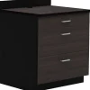 Safco 36"H Modular Break Room Three Drawer Base Cabinet, Asian Night/Black (1703AN)