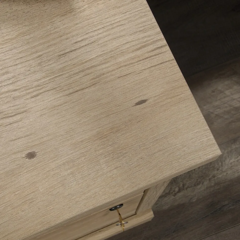 Sauder Aspen Post 2-Drawer Lateral File Cabinet, Letter/Legal Size, Lockable, 30"H x 31"W x 19"D, Prime Oak (427013)