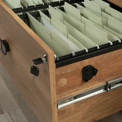 Sauder Cannery Bridge Commercial 2-Drawer Lateral File Cabinet, Letter/Legal Size, 32