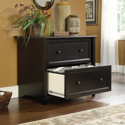 Sauder Edge Water 2-Drawer Lateral File Cabinet, Letter/Legal Size, Estate Black (409044)
