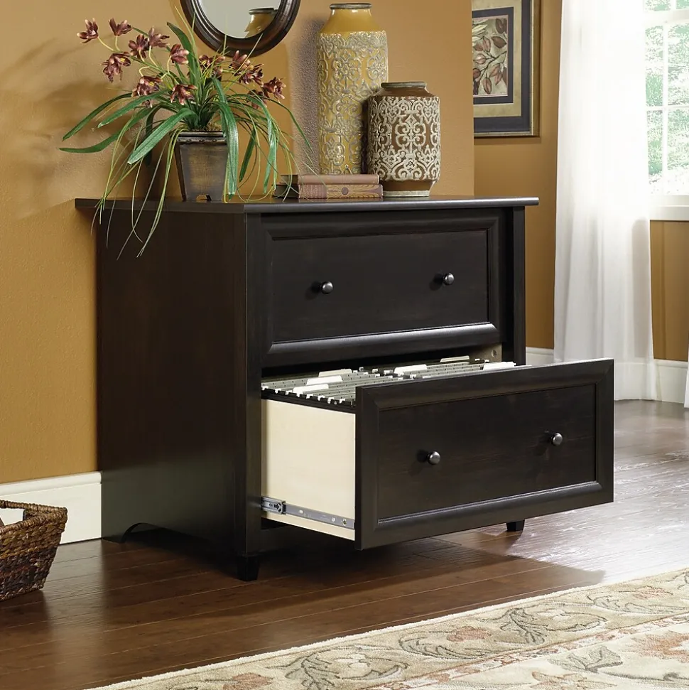 Sauder Edge Water 2-Drawer Lateral File Cabinet, Letter/Legal Size, Estate Black (409044)