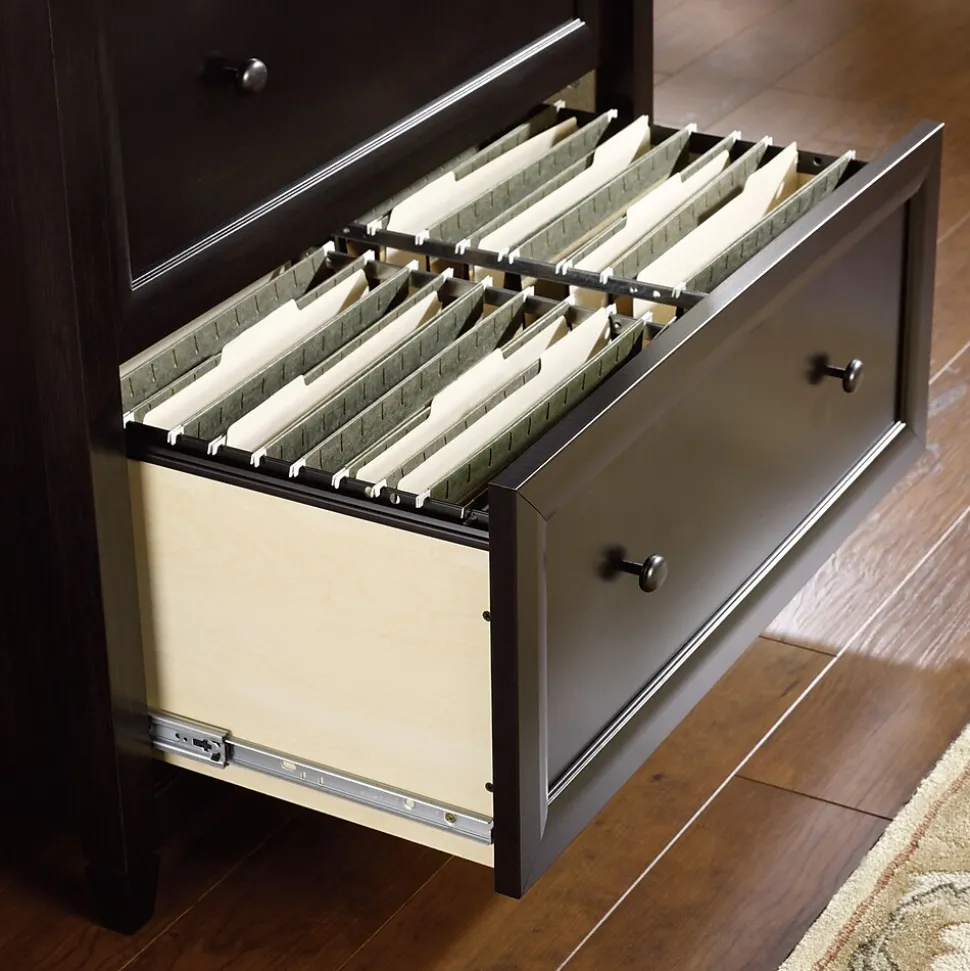 Sauder Edge Water 2-Drawer Lateral File Cabinet, Letter/Legal Size, Estate Black (409044)