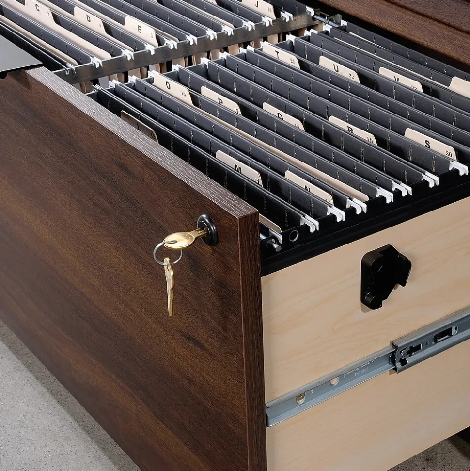 Sauder Palo Alto Commercial 2-Drawer Lateral File Cabinet, Letter/Legal Size, Lockable, 31"W x 19"D, Spiced Mahogany (427822)