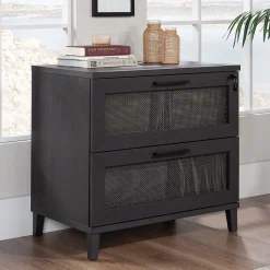 Sauder Tiffin Line Commercial 2-Drawer Lateral File Cabinet, Letter/Legal Size, Lockable, 31