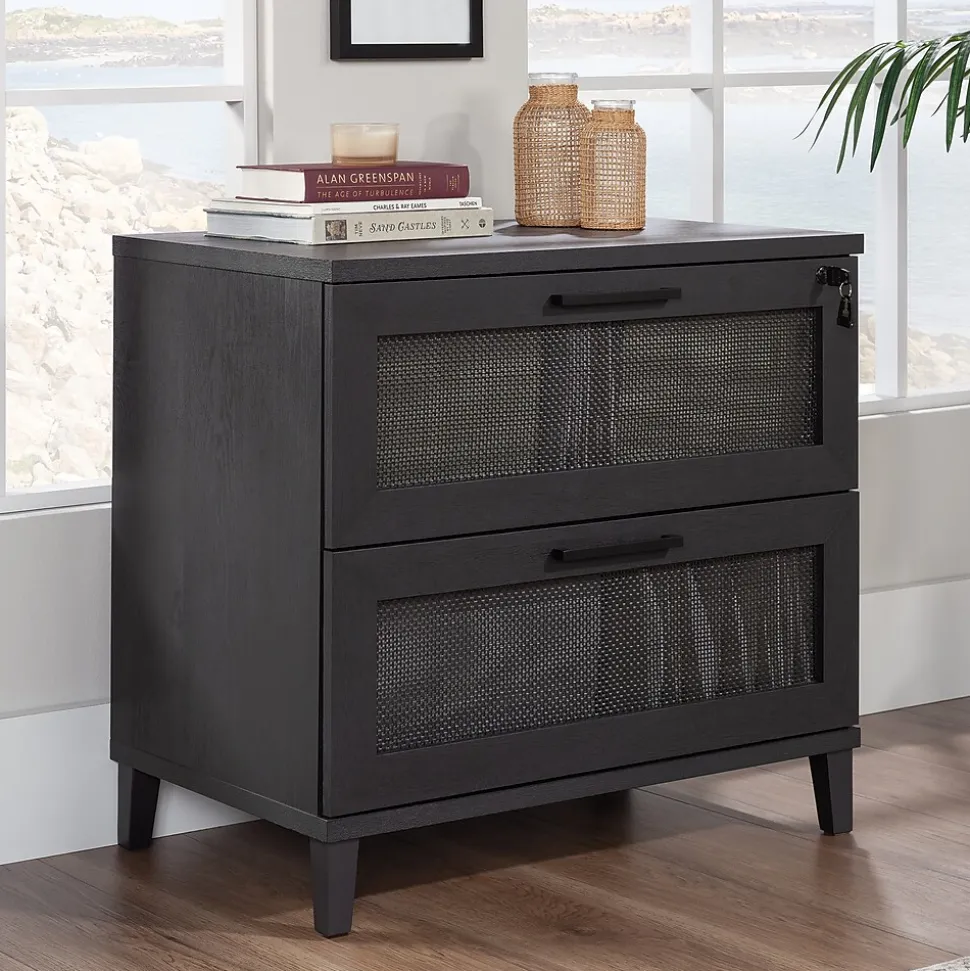 Sauder Tiffin Line Commercial 2-Drawer Lateral File Cabinet, Letter/Legal Size, Lockable, 31"W x 20"D, Raven Oak (433269)