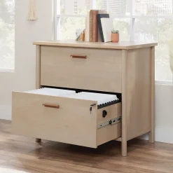 Sauder Whitaker Point Commercial 2-Drawer Lateral File Cabinet, Letter/Legal Size, Lockable, 31