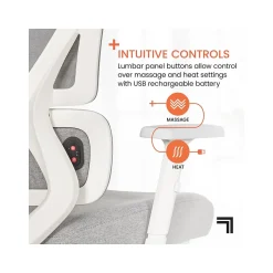 Sharper Image S-850 Ergonomic Mesh Swivel Computer and Desk Chair, Light Gray/White (60106-LGRYWHT)