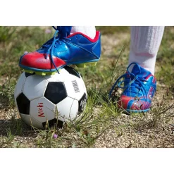 Sharpie eXtreme Permanent Markers, Fine Tip, Black, 4/Pack (1927436)