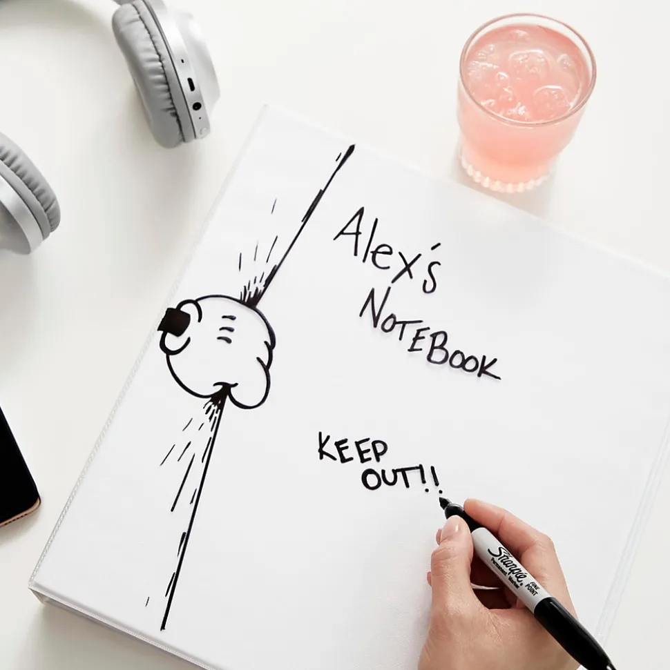 Sharpie Permanent Marker, Fine Tip, Black, 12/Pack (1812419)