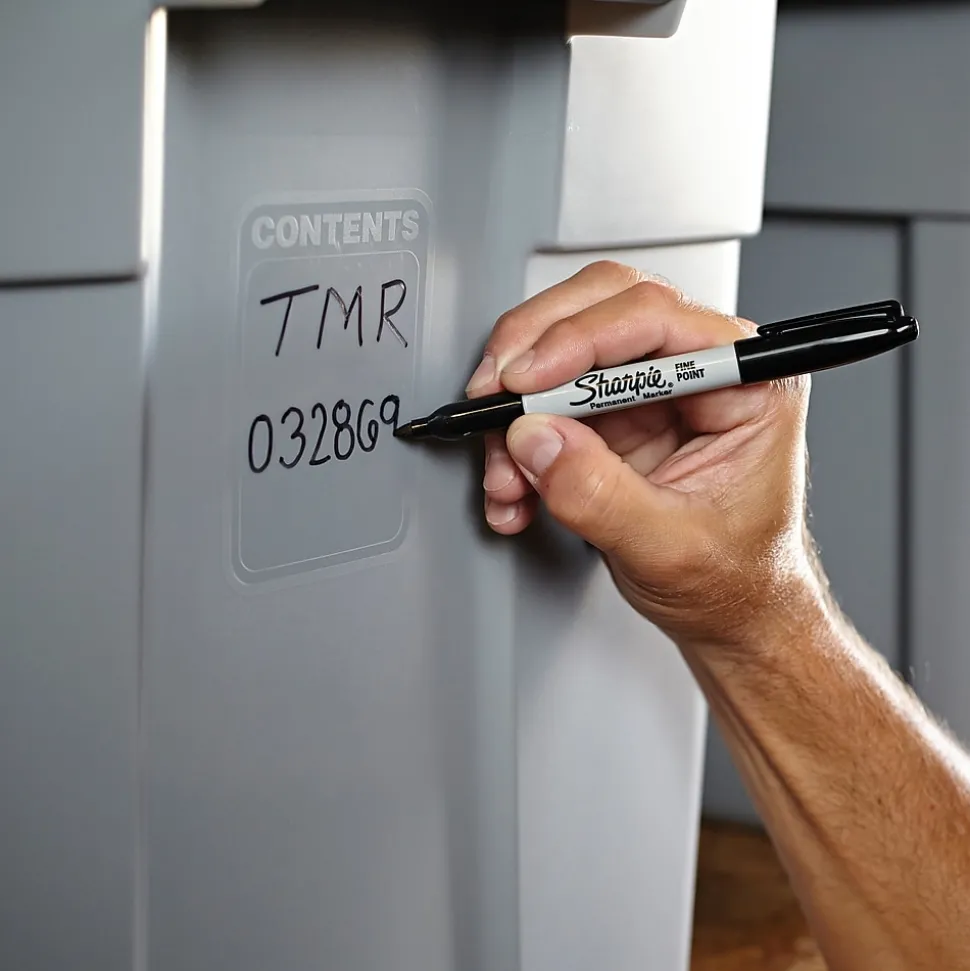 Sharpie Permanent Marker, Fine Tip, Black, 12/Pack (1812419)