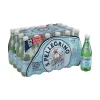S.Pellegrino Sparkling Natural Mineral Water, 16.9 Fl oz. Plastic Bottles, 24/Carton (12161701)
