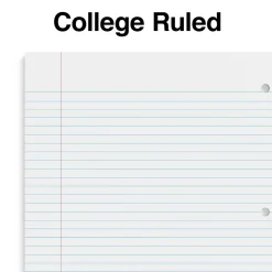 Staples® Accel Poly 2-Subject Subject Notebooks, 8.5