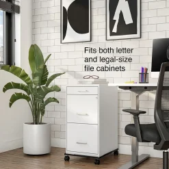 Staples Adjustable File Caddy, Letter/Legal, Black (ST52140-CC)