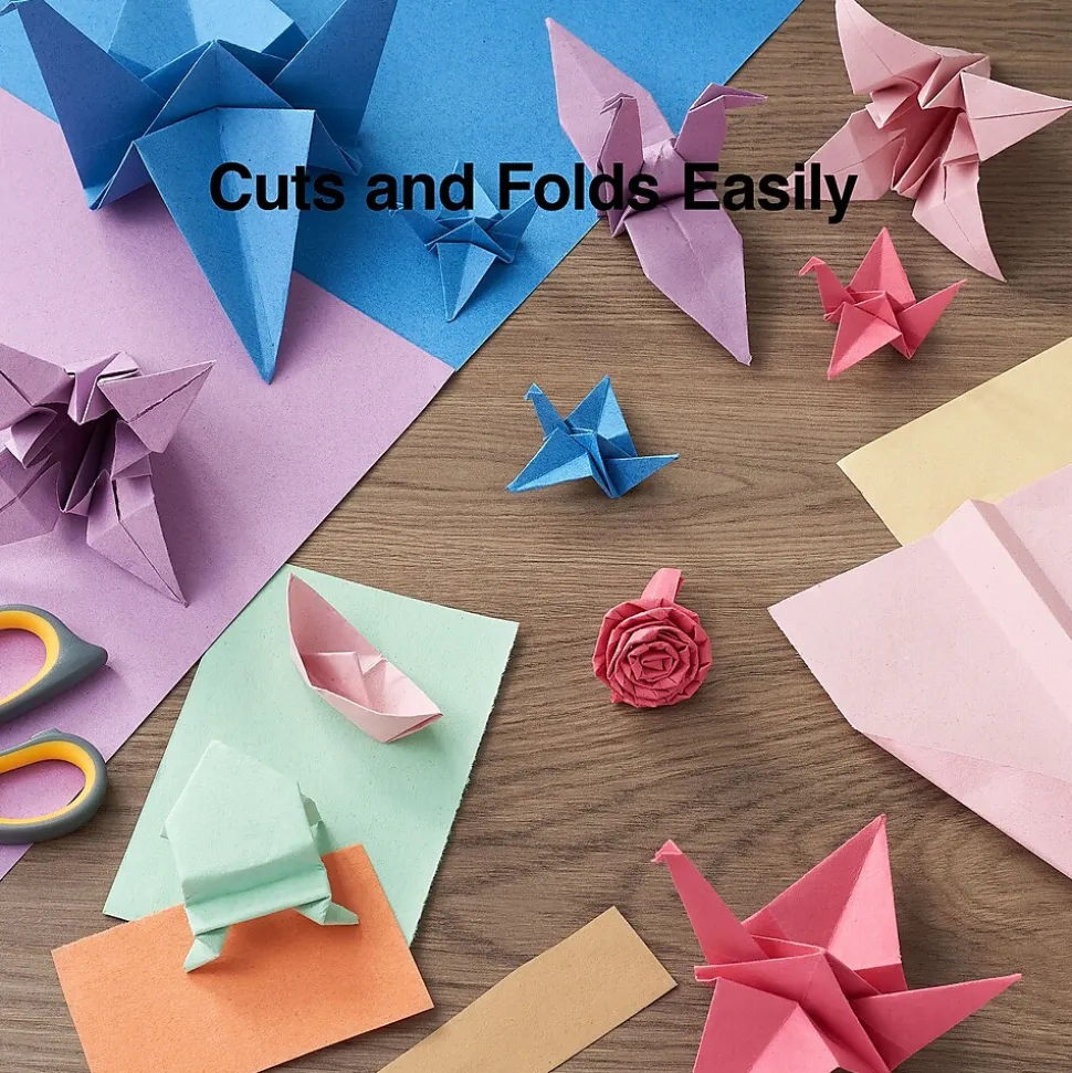 Staples Construction Paper, 9"W x 12"L, Assorted, 200/Pack (23104)