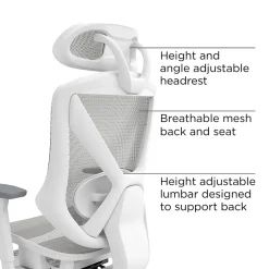 Staples Dexley Ergonomic Mesh Swivel Task Chair, Gray (UN61365)
