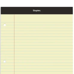 Staples Double-Sheet Notepad, 8.5