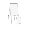 Staples Dry Erase Easel, Silver Steel (28841-US/CC)
