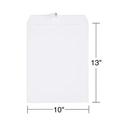 Staples EasyClose Catalog Envelopes, 10