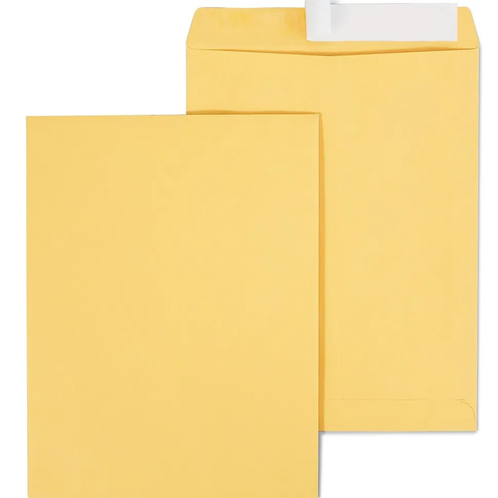 Staples EasyClose Kraft Catalog Envelopes, 10"L x 13"H, Brown, 100/Box (381969/19023)