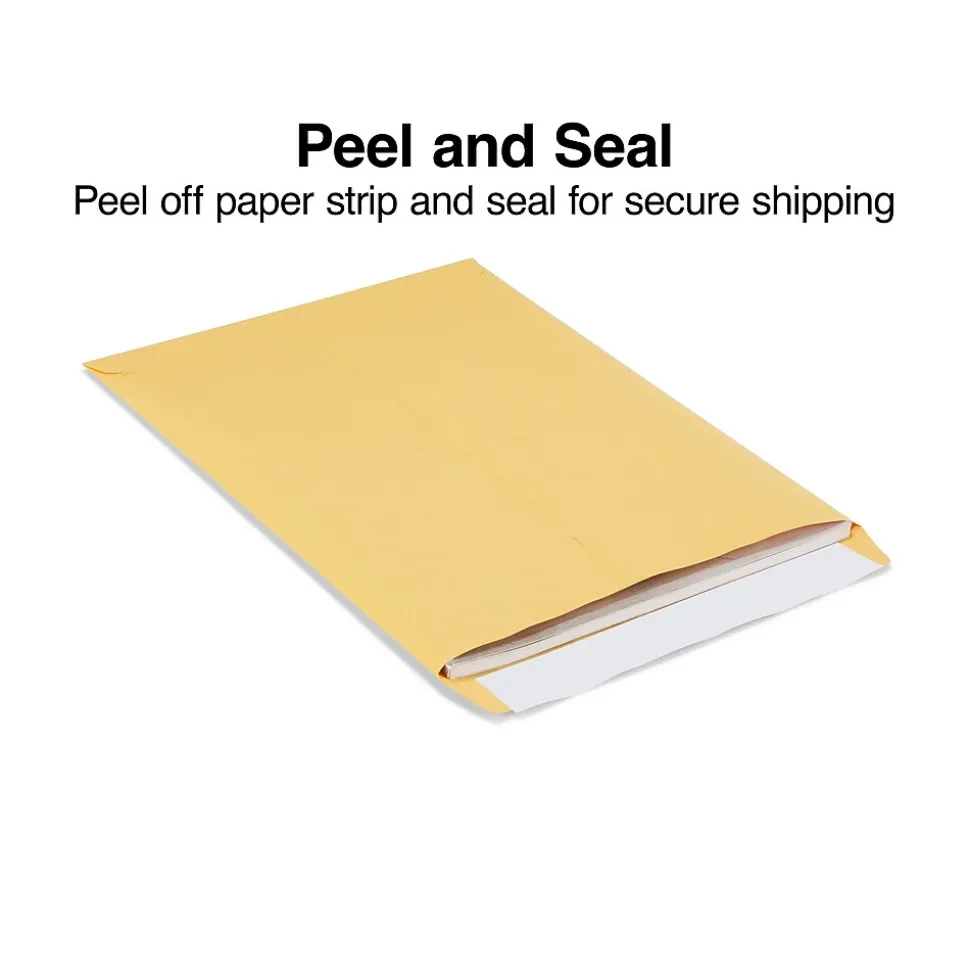 Staples EasyClose Kraft Catalog Envelopes, 10"L x 13"H, Brown, 100/Box (381969/19023)