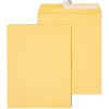 Staples EasyClose Kraft Catalog Envelopes, 10"L x 13"H, Brown, 250/Box (479889/14238)