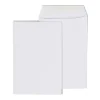 Staples Economy Gummed Catalog Envelopes, 6" x 9", White, 250/Box (50303T)